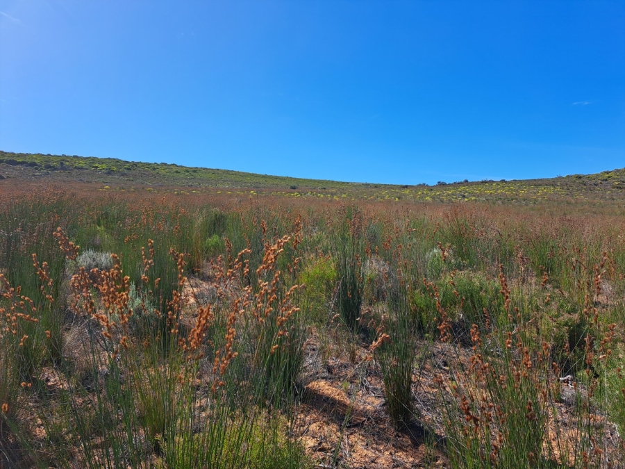 10 Bedroom Property for Sale in Stilbaai Rural Western Cape